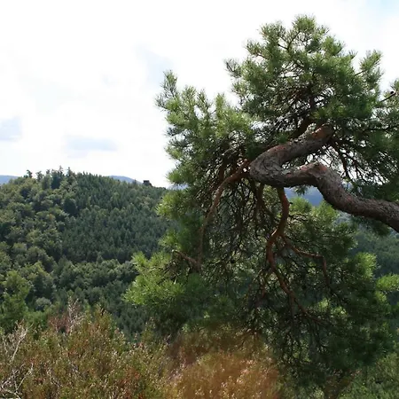 D'hotes Petit Arnsbourg